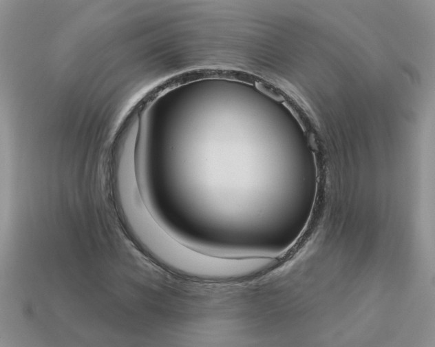 X0000113020926200909101835