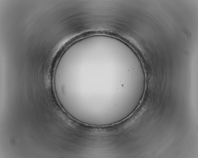 X0000113020927200909101835