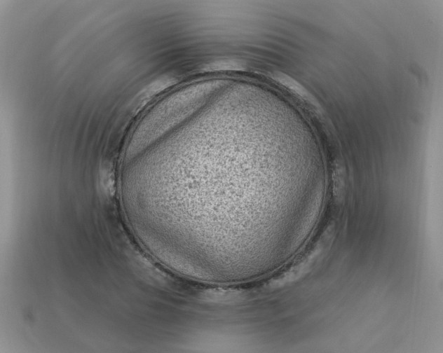 X0000113020929200909101835