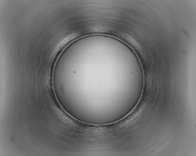 X0000113020930200909101835