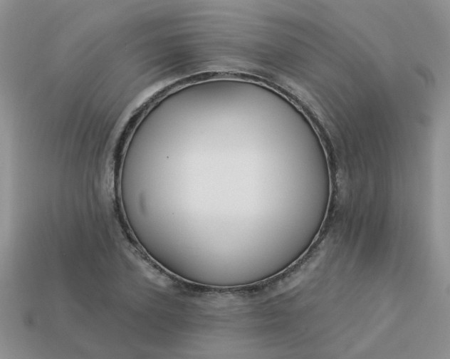 X0000113020931200909101835
