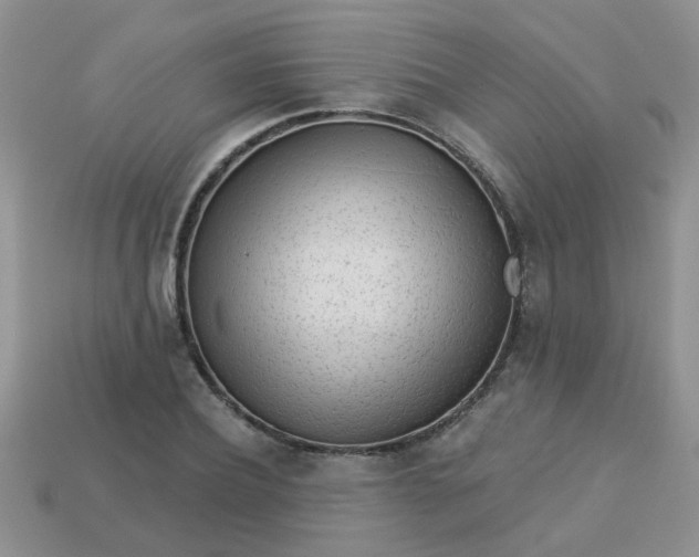 X0000113020932200909101835