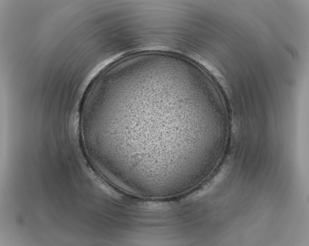 X0000113020933200909101835
