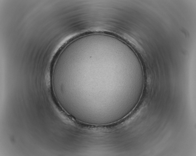 X0000113020934200909101835