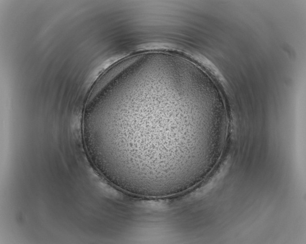 X0000113020937200909101835