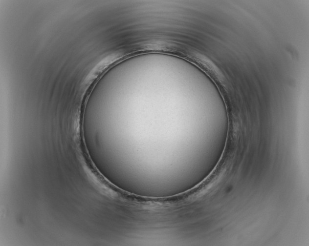 X0000113020938200909101835