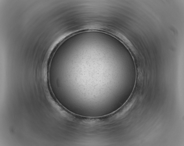 X0000113020939200909101835