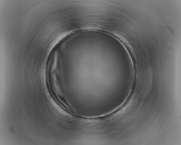 X0000113020941200909101835