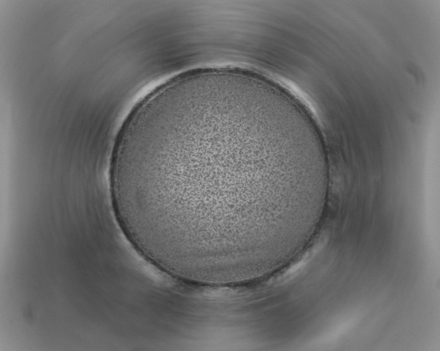 X0000113020943200909101835