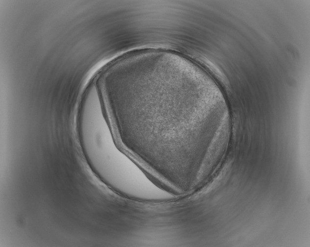 X0000113020944200909101835