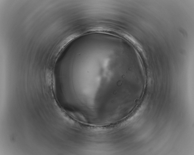 X0000113020945200909101835