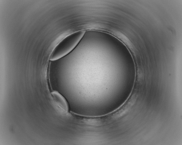 X0000113020946200909101835