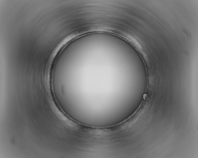 X0000113020947200909101835
