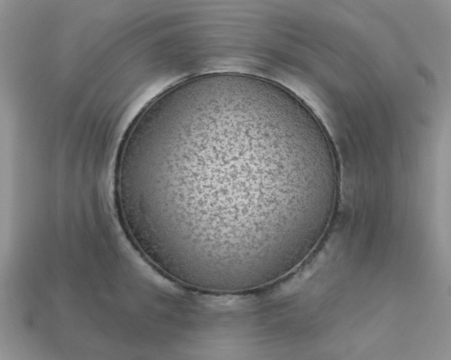 X0000113020949200909101835