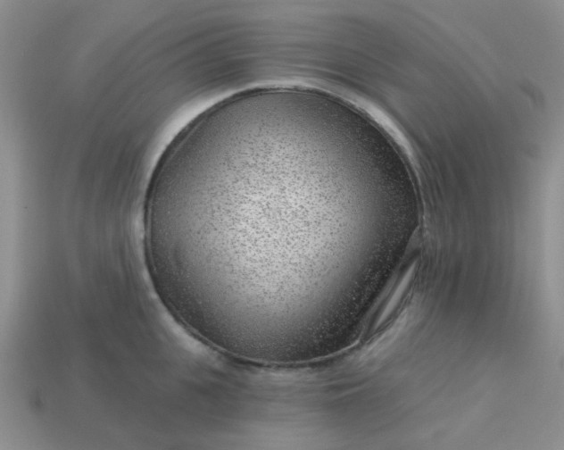 X0000113020951200909101835