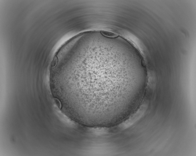 X0000113020952200909101835