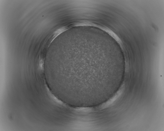 X0000113020953200909101835