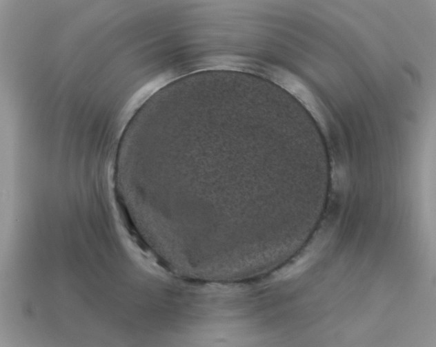 X0000113020954200909101835