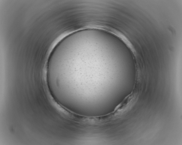 X0000113020955200909101835