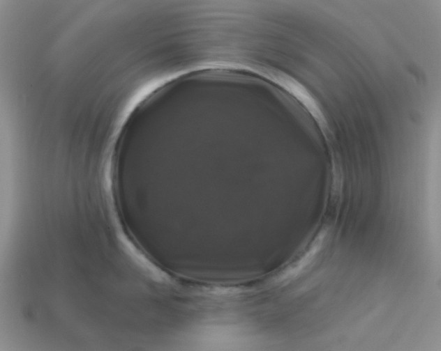 X0000113020958200909101835