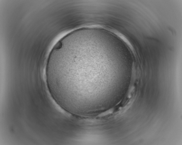 X0000113020959200909101835