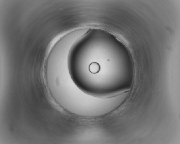 X0000113020960200909101835