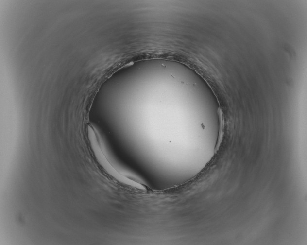 X0000113020961200909101834