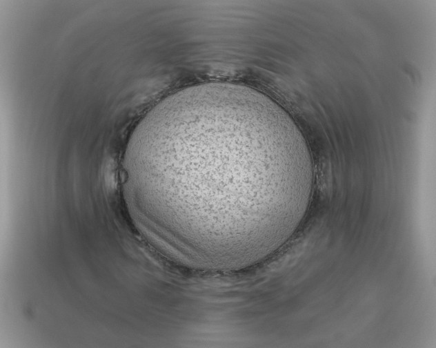 X0000113020962200909101834