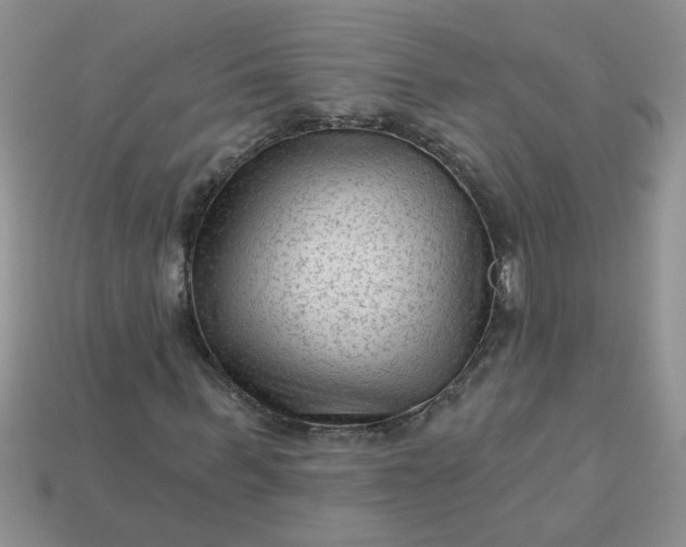 X0000113020963200909101834