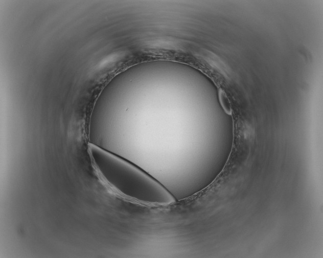 X0000113020965200909101834