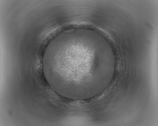 X0000113020966200909101834