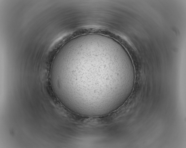 X0000113020967200909101834