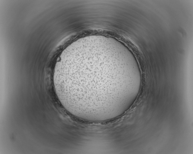 X0000113020968200909101834