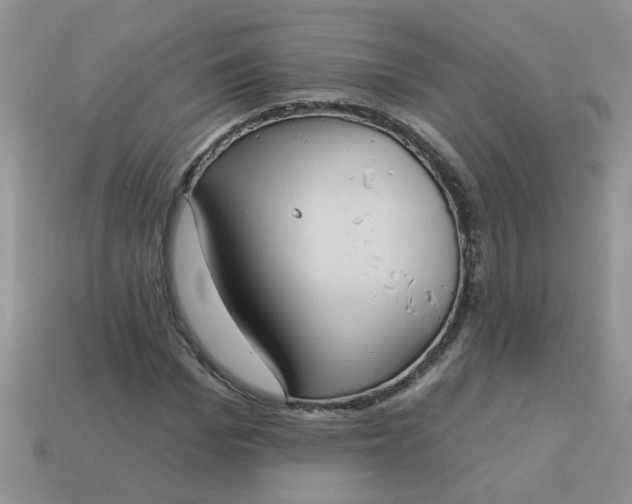 X0000113020969200909101834