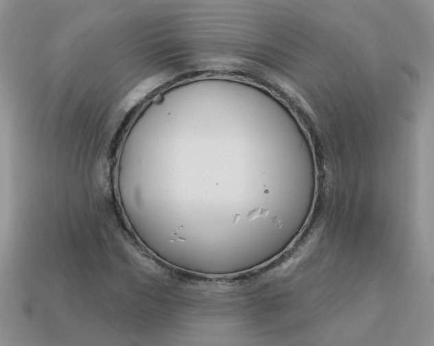 X0000113020970200909101834