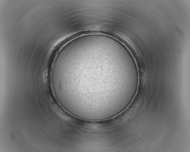 X0000113020971200909101834