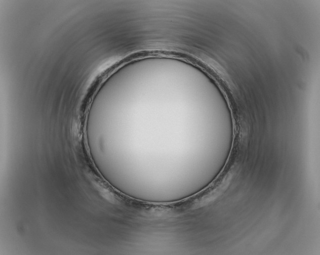 X0000113020974200909101834