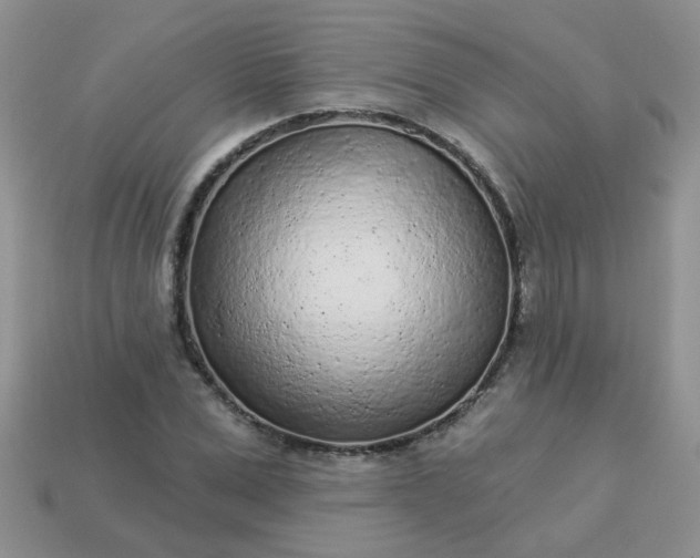 X0000113020975200909101834