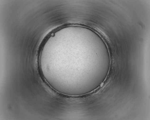 X0000113020976200909101834