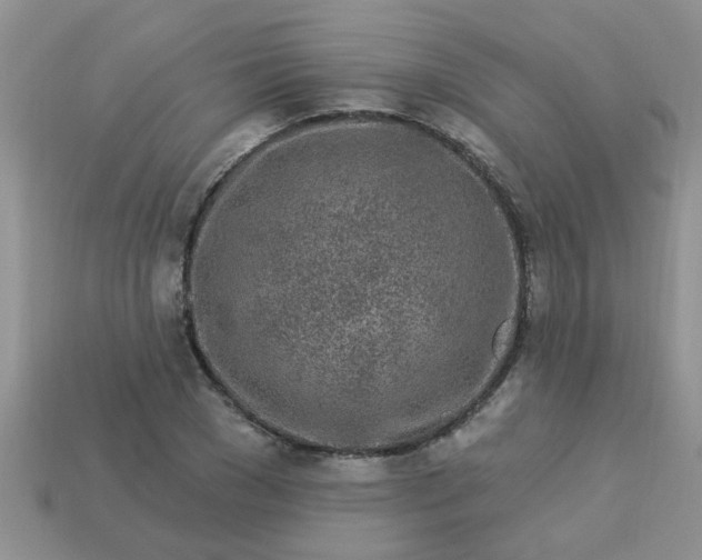 X0000113020977200909101834