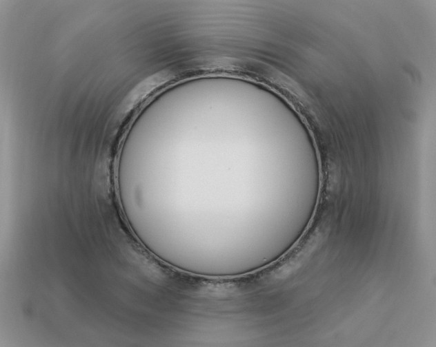X0000113020978200909101834