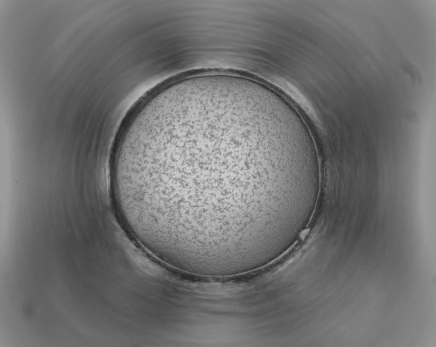 X0000113020980200909101834