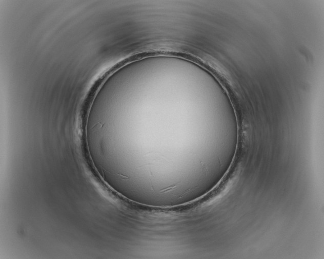 X0000113020981200909101834