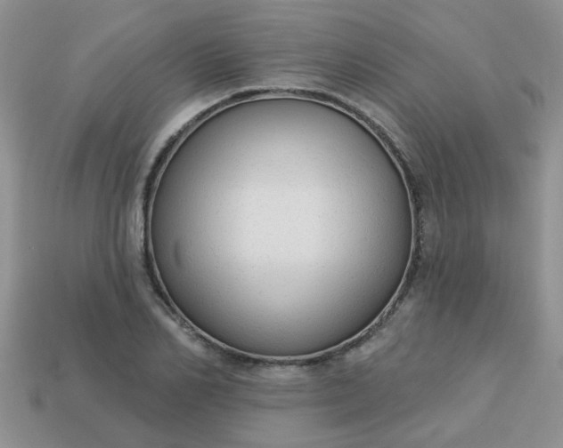 X0000113020982200909101834