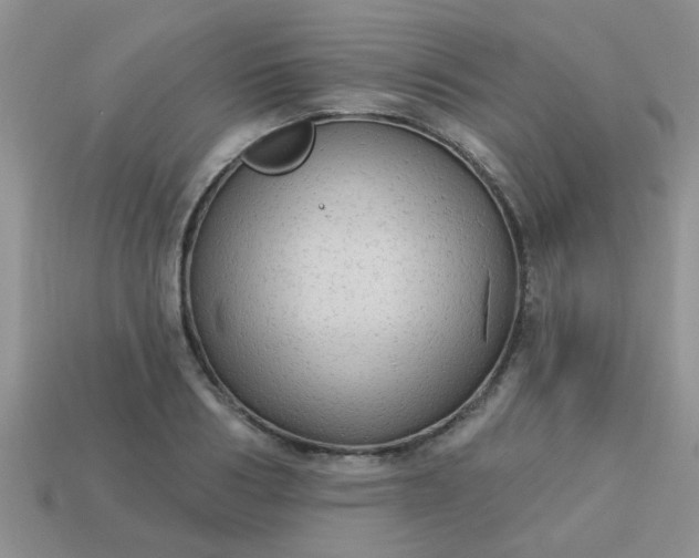 X0000113020986200909101834