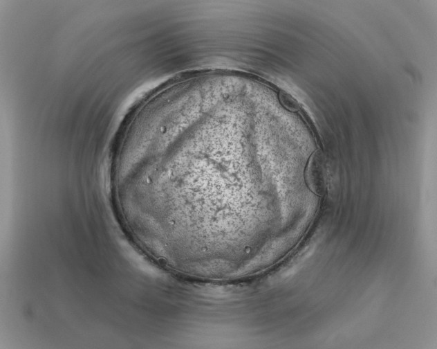 X0000113020987200909101834