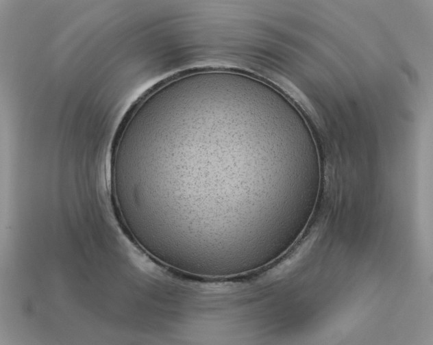 X0000113020988200909101834