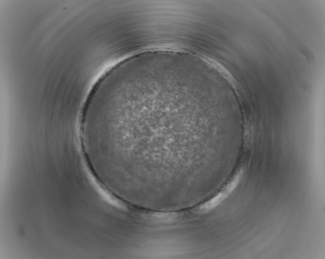 X0000113020989200909101834