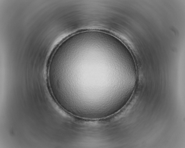 X0000113020990200909101834