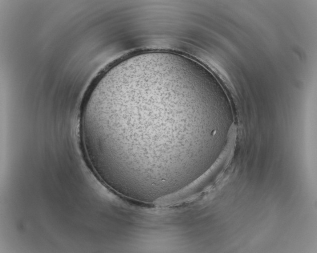 X0000113020992200909101834